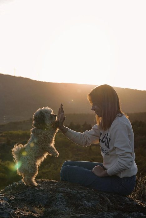 Mujer chocando la mano con su perra de pie, a contraluz al atardecer